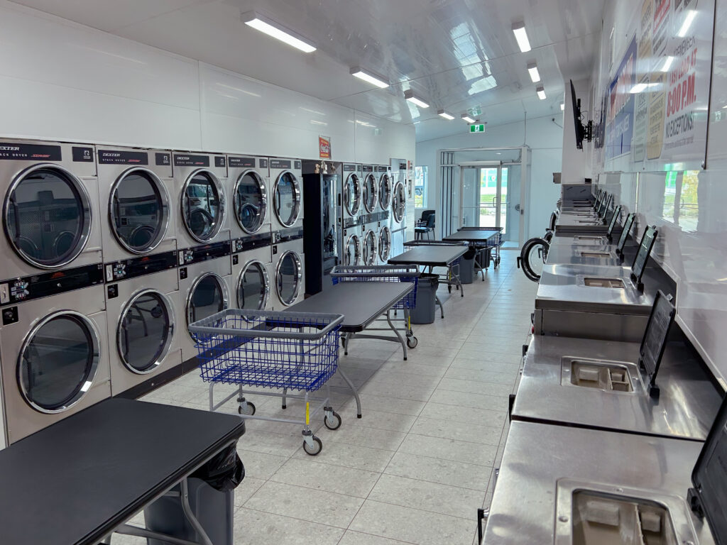 Whale_Laundromat-12